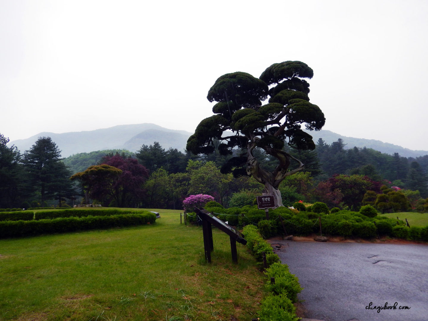 Le jardin du Matin Calme