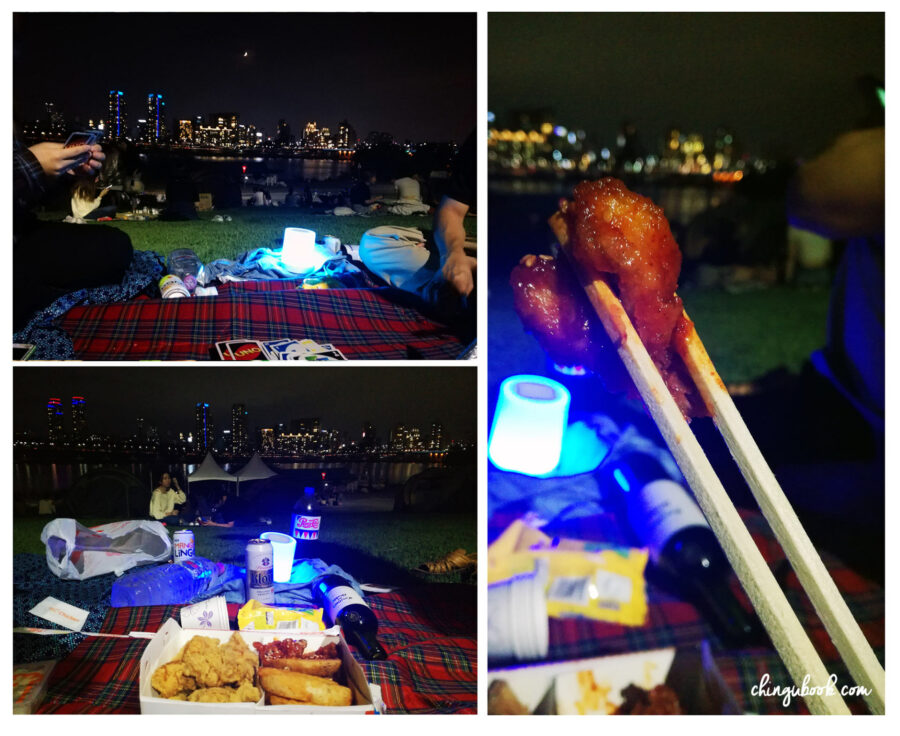 picnic han river printemps