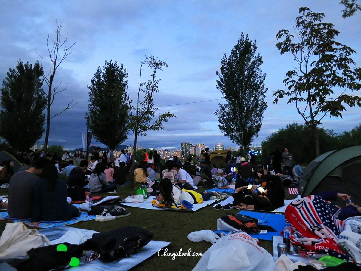 Hongdae Han river park Séoul incontournable